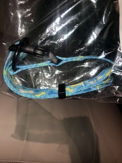 Blue collar for a small dog