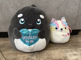 Valentines Day Squishmallows 