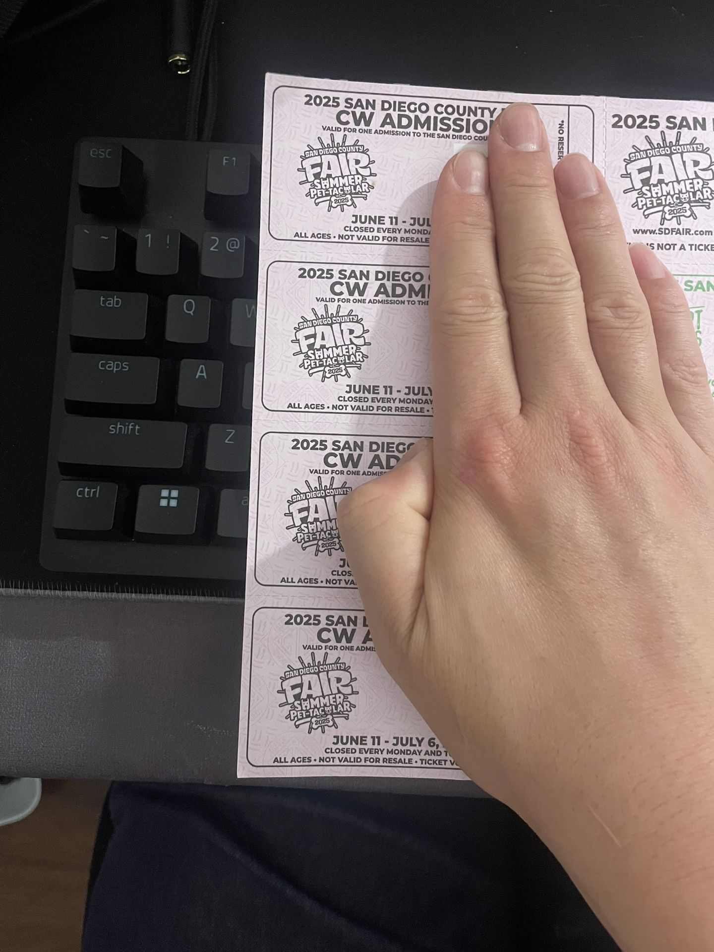 San Diego Fair Ticket
