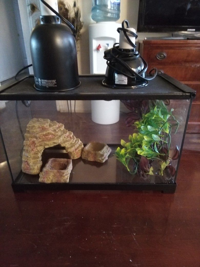 10 Gallon Reptile Tank