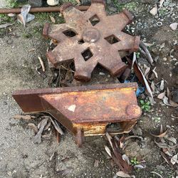 Sheep’s Foot - Free