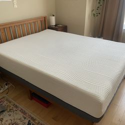 Sleep Science 13 Inch Queen Mattress