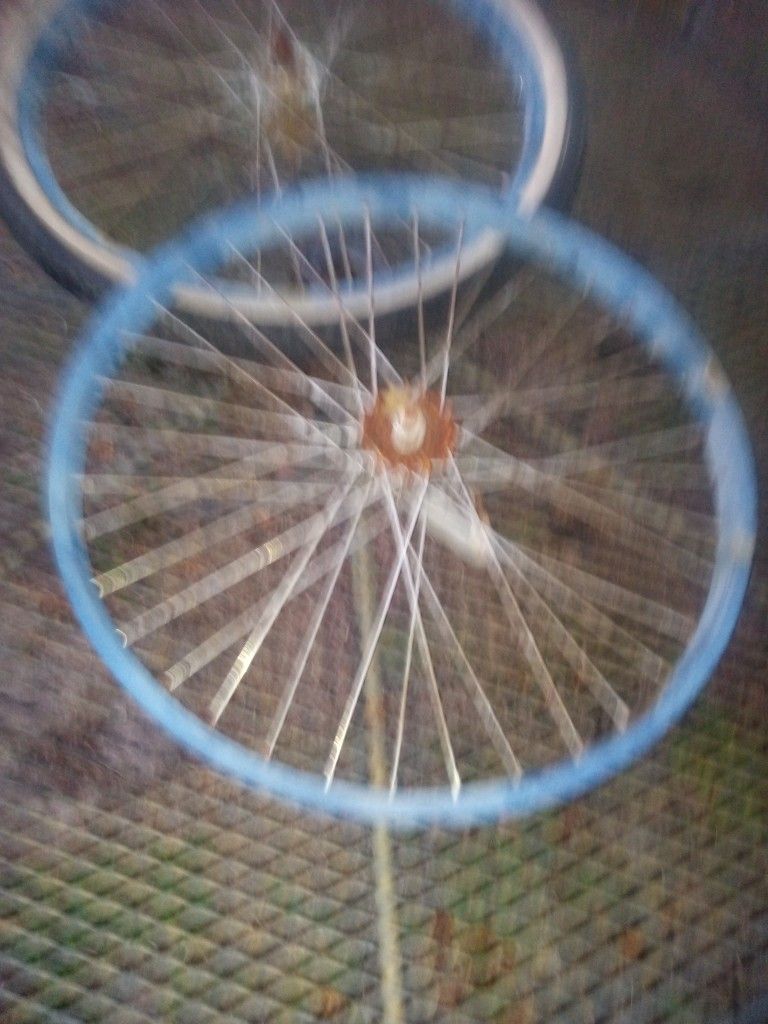 Bicycle Rims & Tires
