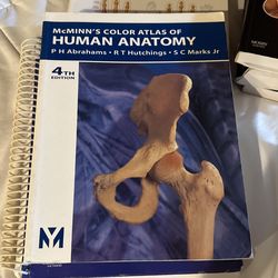 Anatomy Study Books