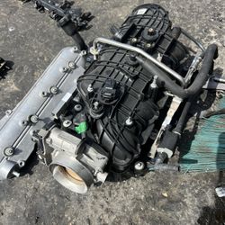 Tbss Intake