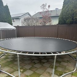 Trampoline