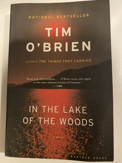 In The Lake Of The Woods
