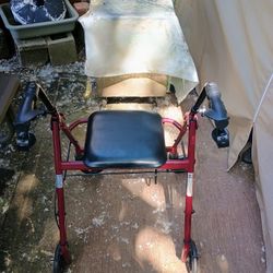 Adult Walker Great Shape 