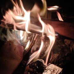 2 + Cord Firewood For Sale