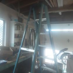 Large Heavy Duty Ladder 