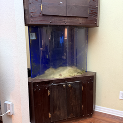 Corner Fish Tank