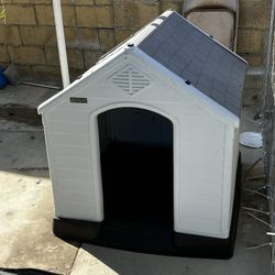 Dog House