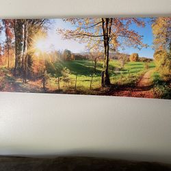 Canvas Print