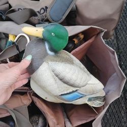 Never Can Have Enough Decoys.... 