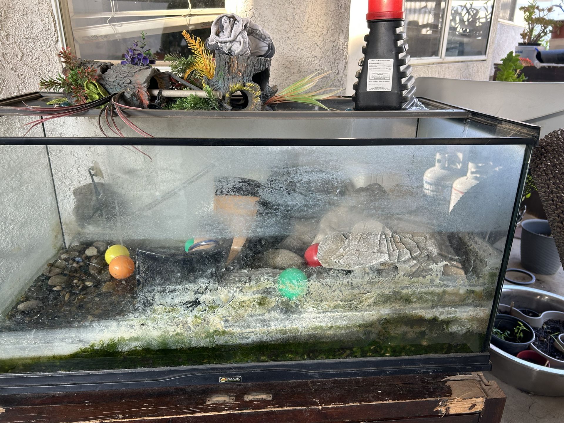 50 Gallon Fish Tank - FREE