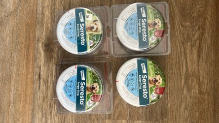 Dog flea collars