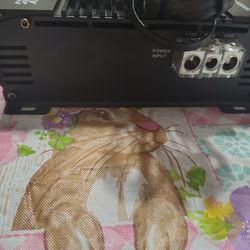 Sundown Audio SFB1000