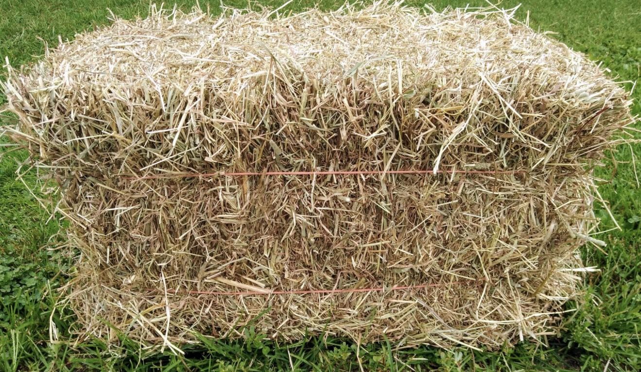 LOCAL HAY FOR SALE