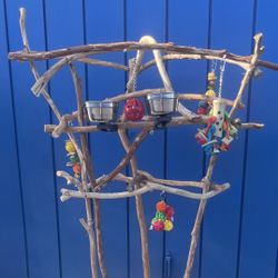 Parrot Perch Tree … Artsy And Rustic Look With Great Quality (AAA+) Lots Of Birdee Fun !! 