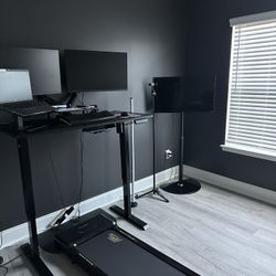 Standing Desk 