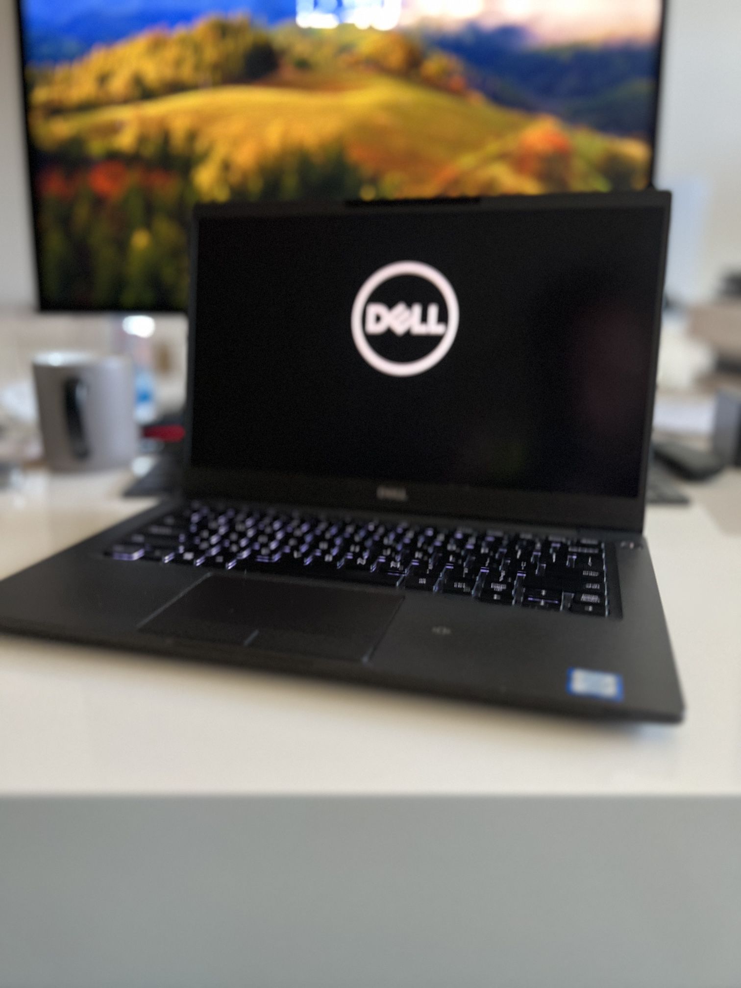 Dell Latitude 7300