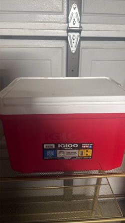 Small Igloo Cooler