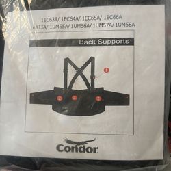 Back support belt