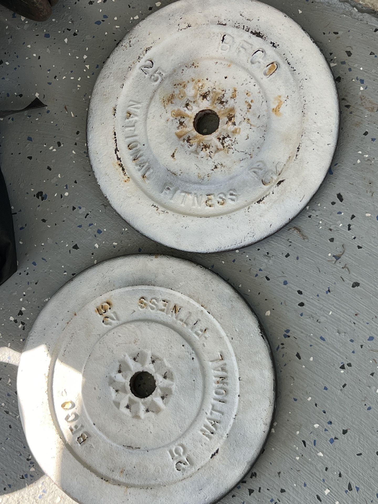 2 25 POUNDS WEIGHTS (50 LBS TOTAL)