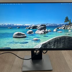 DELL Flat Panel Monitor