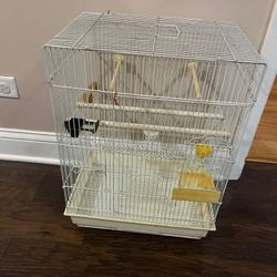 Bird Cage 