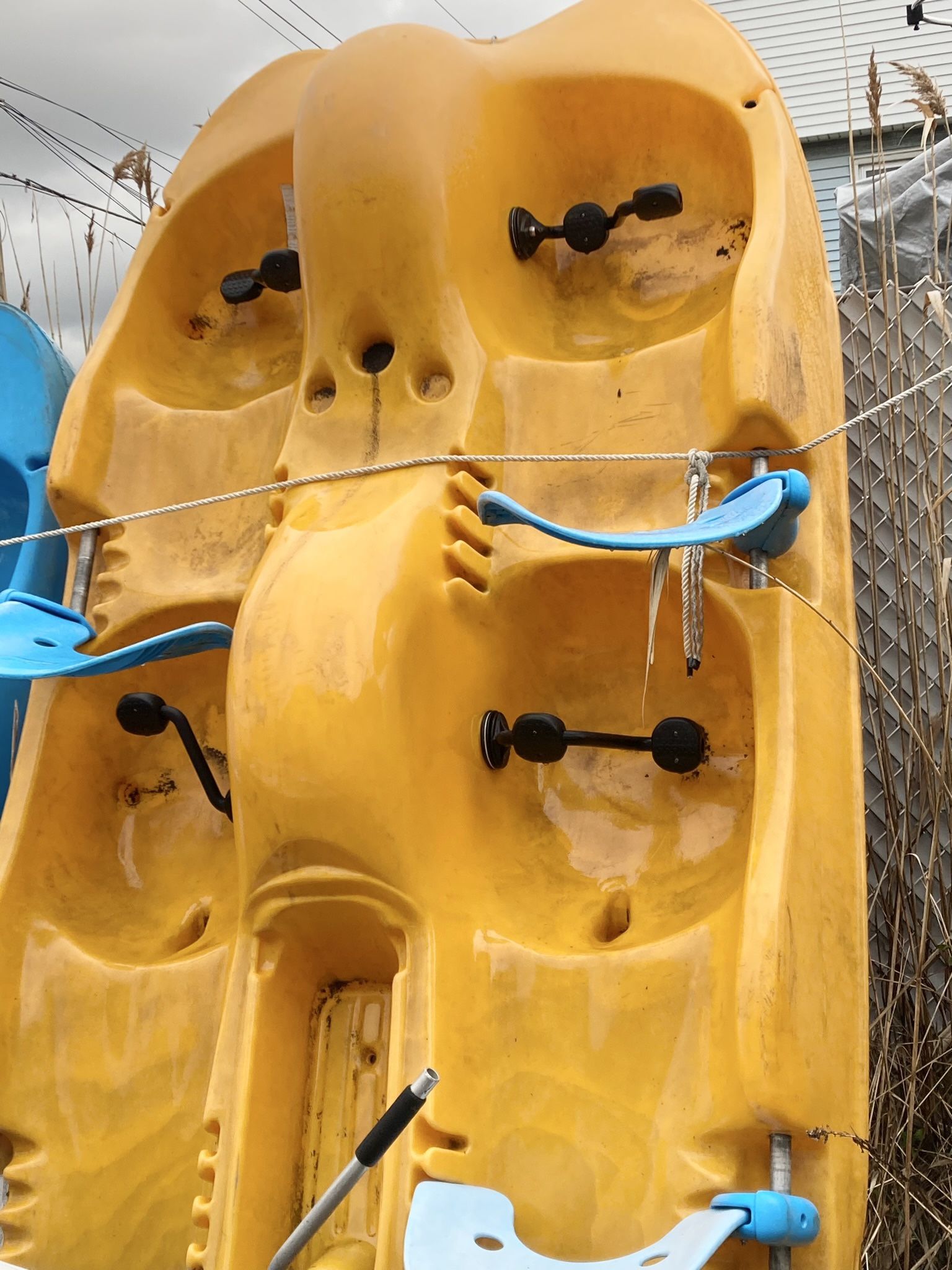 Water Bee Pedal Boat