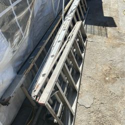 Ladders 