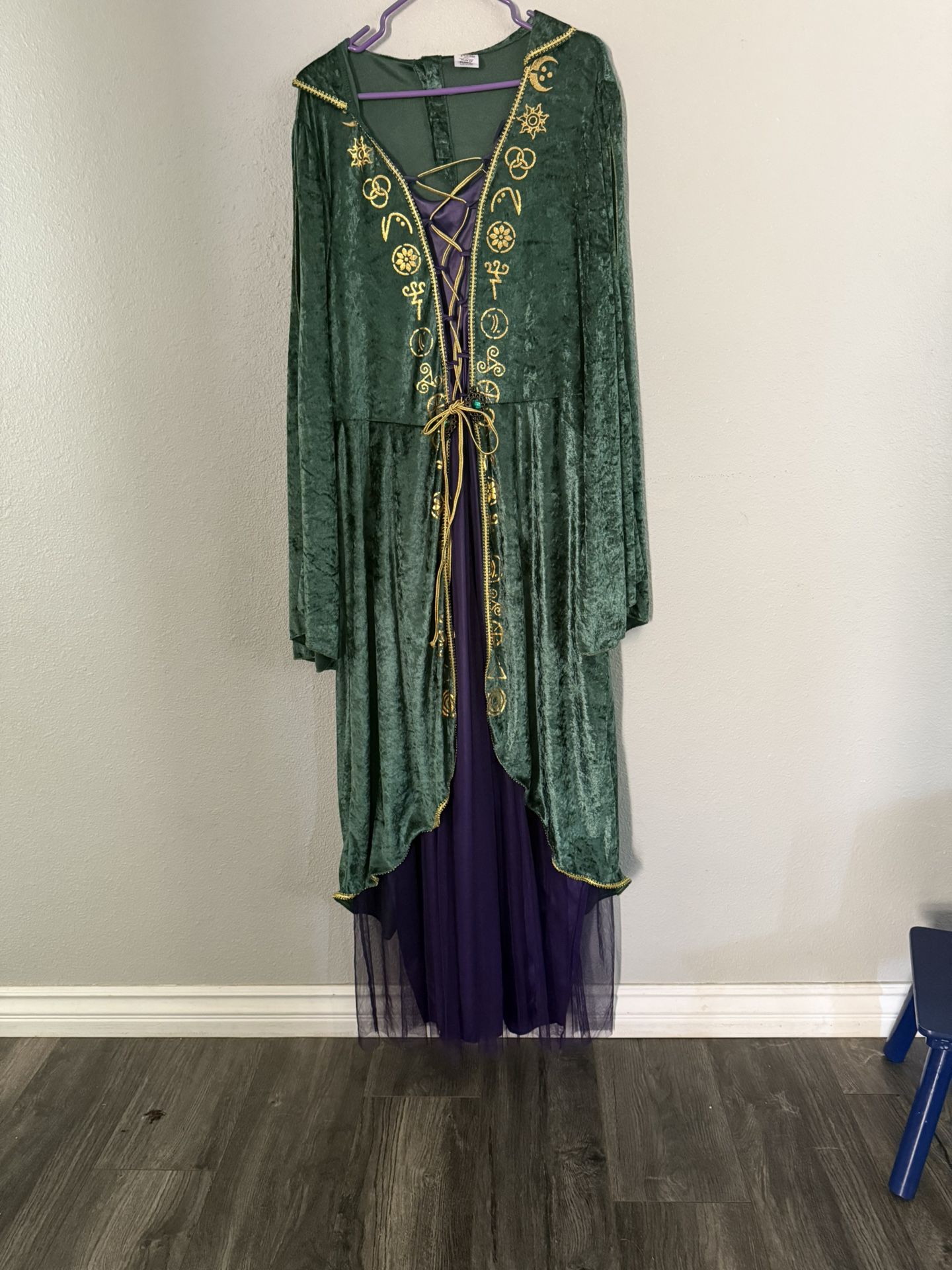 Hocus Pocus Winifred Costume 
