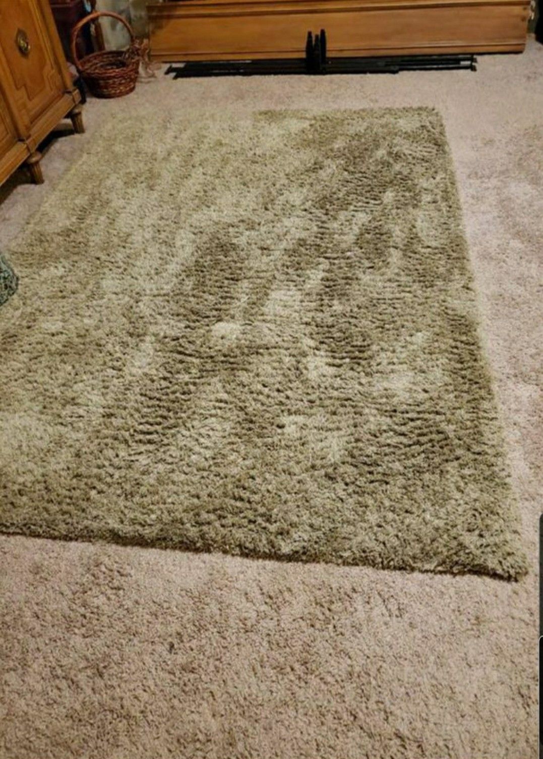Fluffy Green Rug - 5 x 7 / Great for a Bedroom or Living Room