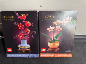 LEGO Botanicals Bundle (10369 & 10343)