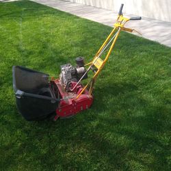 20" Maclane Front Throw