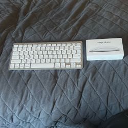 Apple Mouse And Wireless Keyboard