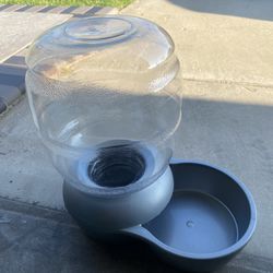 Dog Water Jug Dispenser