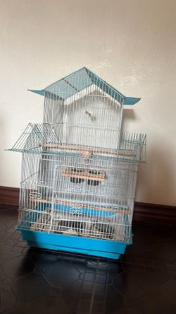 Birds case
