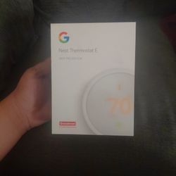 Google Thermostat For Sale 