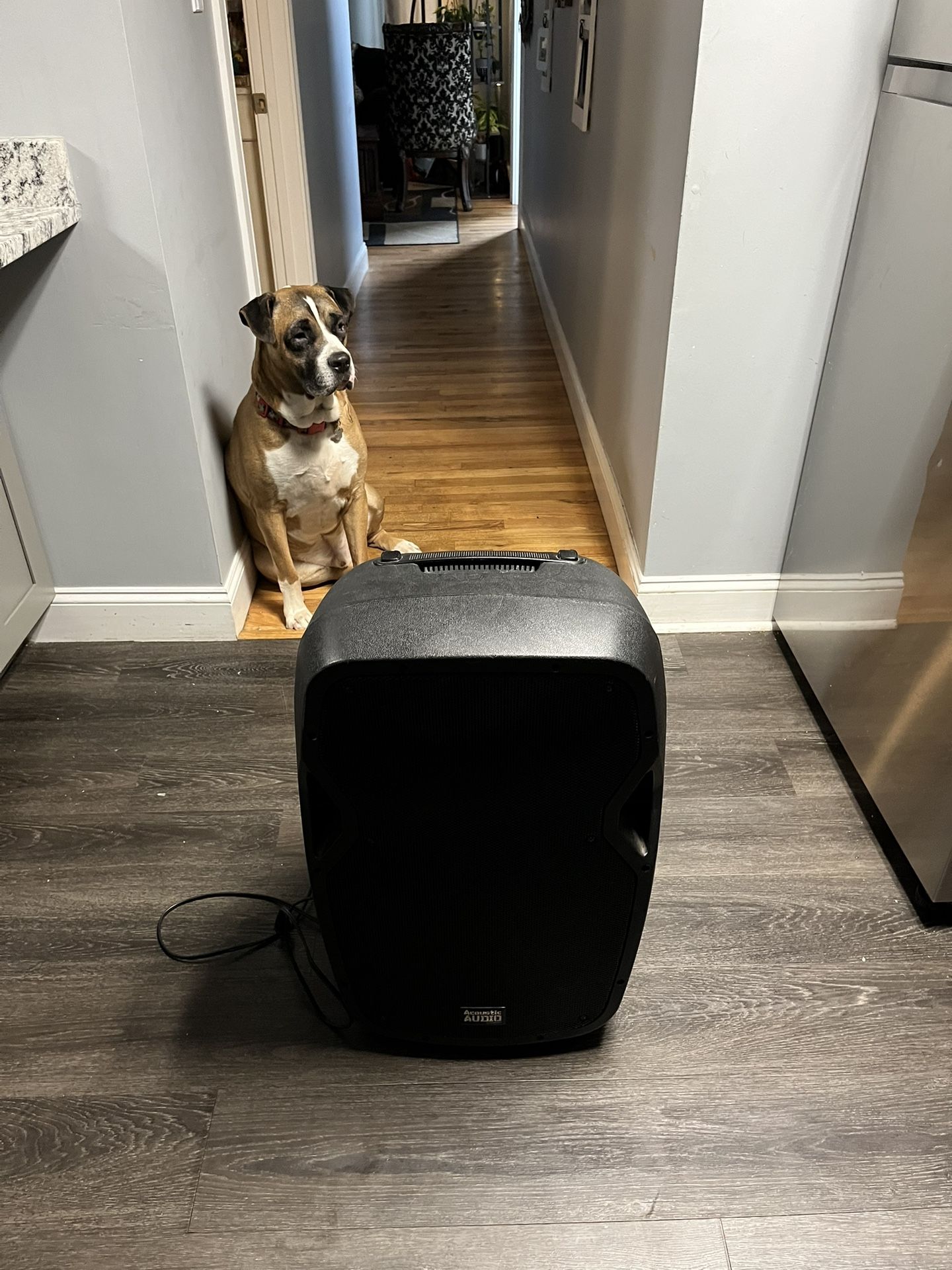 Acoustic Audio 15” Bluetooth Speaker