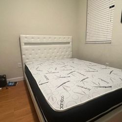 Bed Frame Full Size Led New 