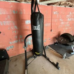 punching bag and gloves 