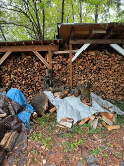 Seasoned Firewood