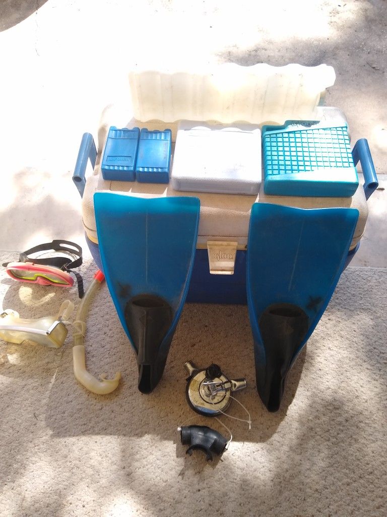 Snorkeling Gear - All In Pic Is Included