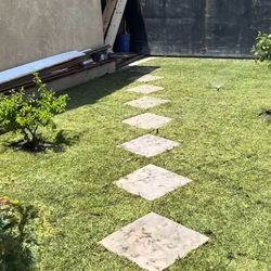 finished concrete and landscaping