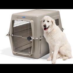 Pet Kennel