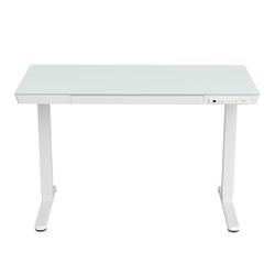 Standing Desk 