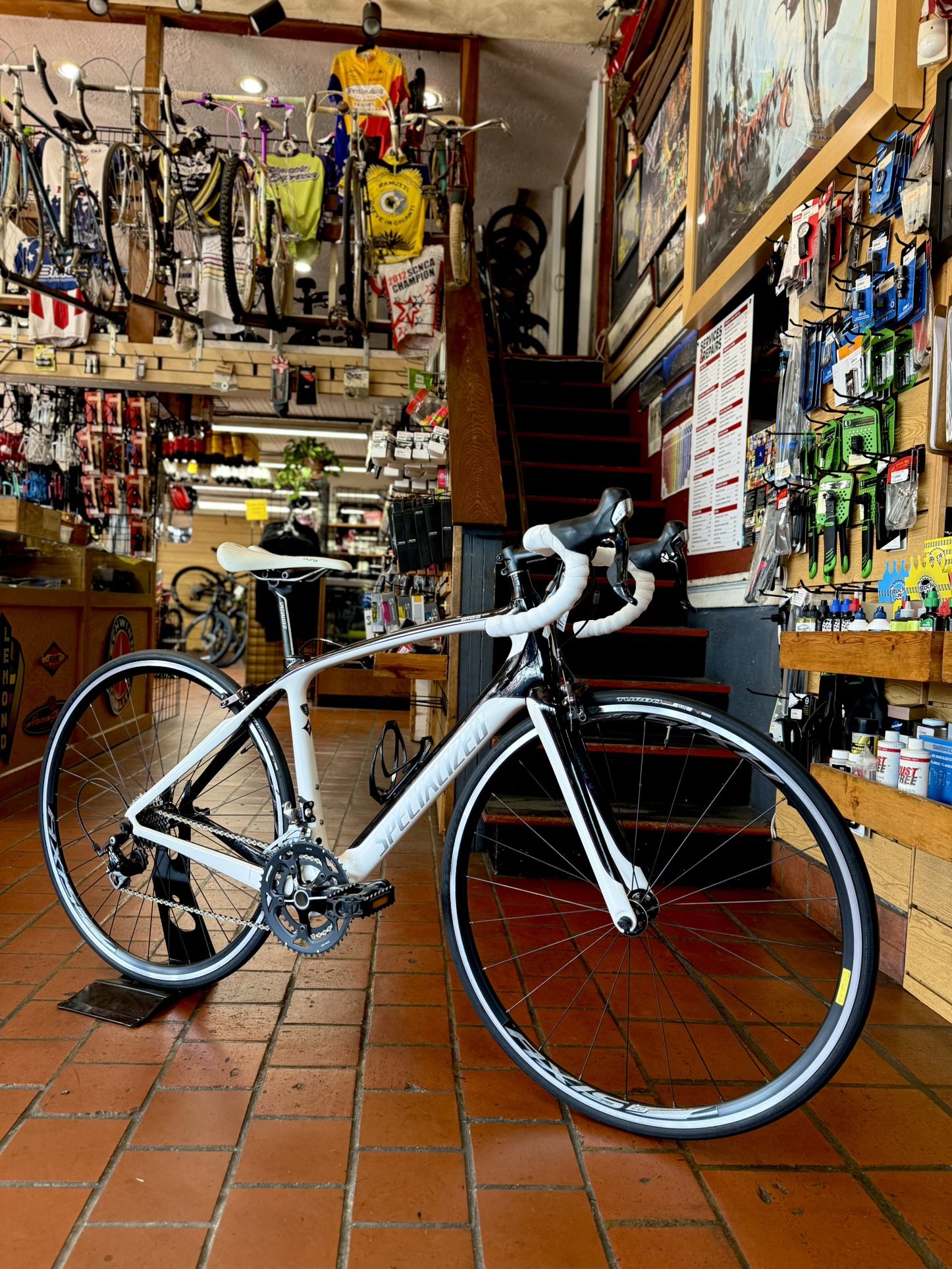 Specialized - Road Bike - Carbon Frame