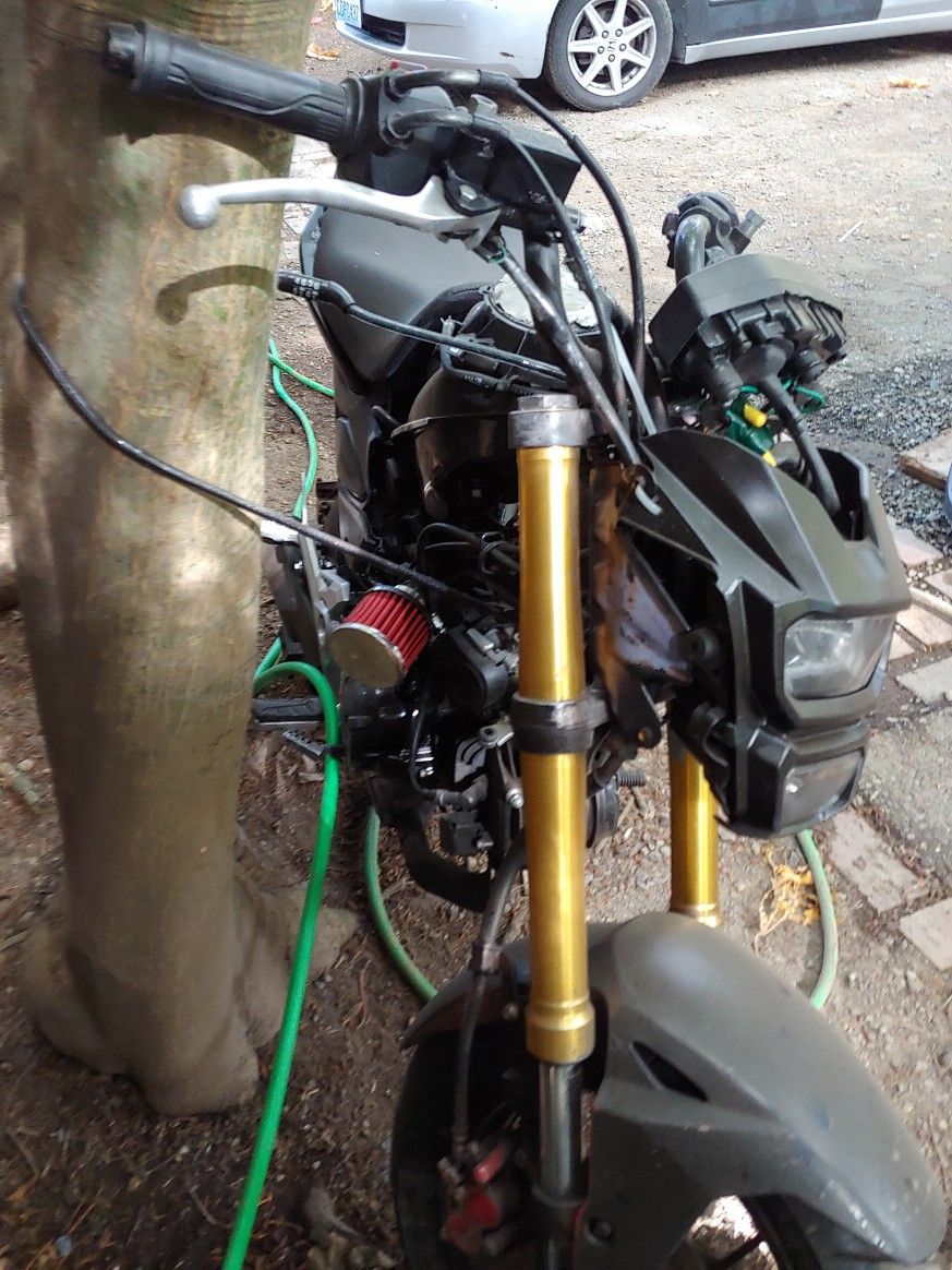 2019 honda grom value